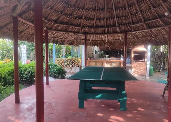 Hostal Casa Jungla