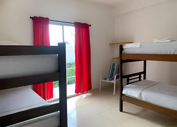 Mono Hostel Palomino